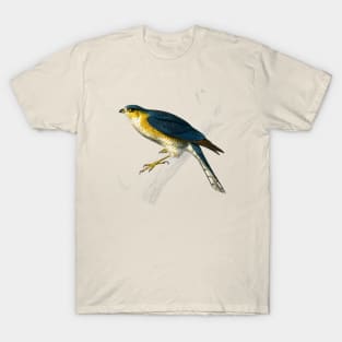 Vintage eurasian sparrowhawk bird-animalia clothing T-Shirt